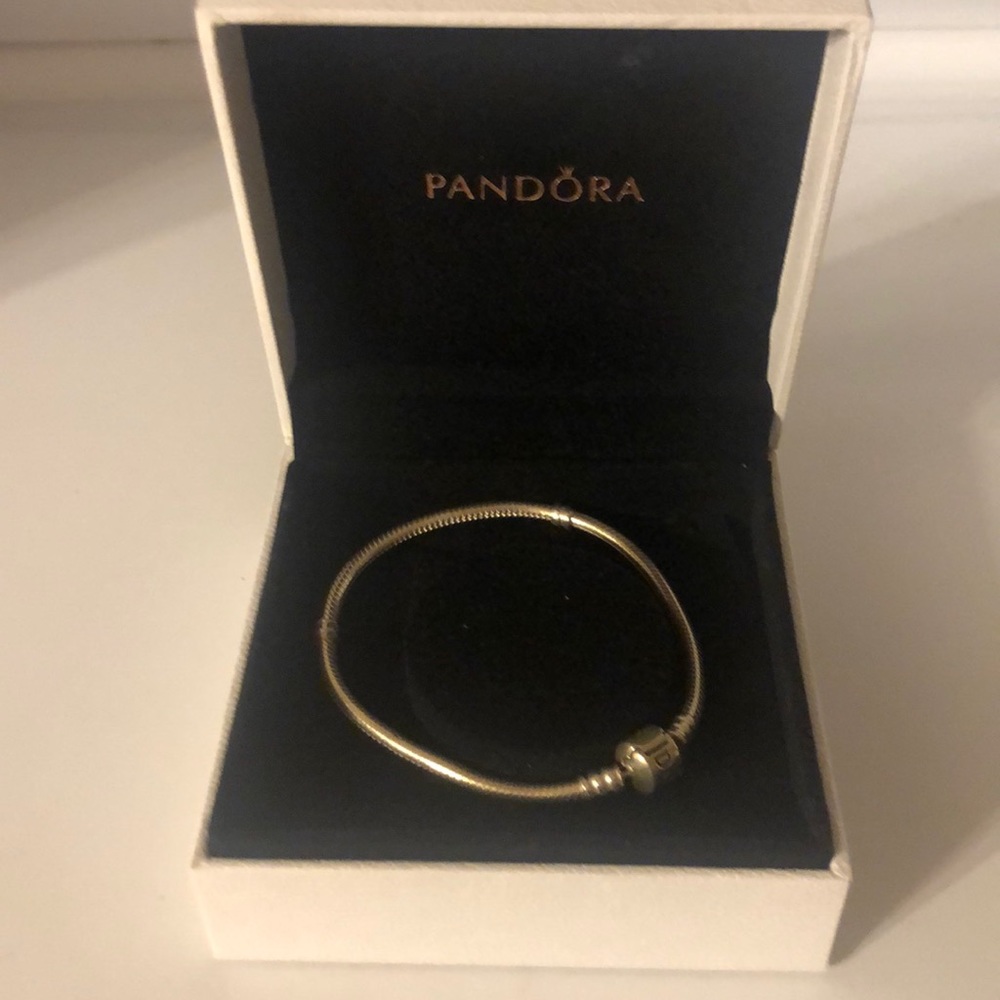 Pandora snake chain bracelet